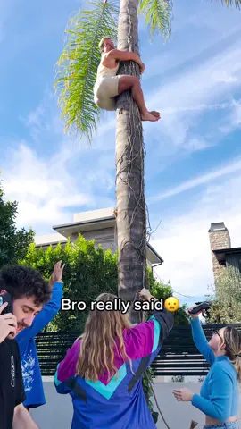 Someone plz explain to me how he got up there. #ayo #shook #dumpy #stuck #tree #flabbergasted #speechless #fyp #help 