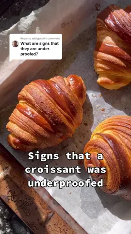 Replying to @addypassi underproofed croissants are dense and leak a ton of butter when baking. Well-proofed croissants jiggle when you lightly shake the baking pan and you should be able to see the separate layers #croissants #croissanttok 