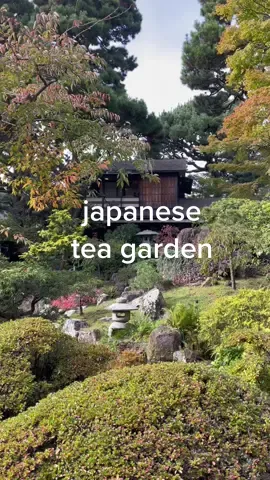 sad fact; the Japanese family who lived here, took care of it, and expanded it to 5 acres was forced to leave to internment camps and wasn’t allowed back here to their home after the war was over ☹️  #japaneseteagarden #japan #japaneseteagardensf #goldengatepark #autumn #sfjapaneseteagarden #sf #sfbayarea #sfbay #sanfrancisco #sanfran #bayarea #thingstodoinsf #thingstodoinsanfrancisco #sftok #sfblogger #secretsf #bayareacheck #ww2history 