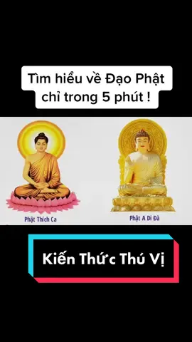 - Lướt tiktok thấy một bạn nói là Chúa tạo ra Phật thấy buồn cười quá 🤣   Làm mình phải đăng luôn video này #lichsuvietnam #hoccungtiktok #xuhuong  #kienthucthuvi 