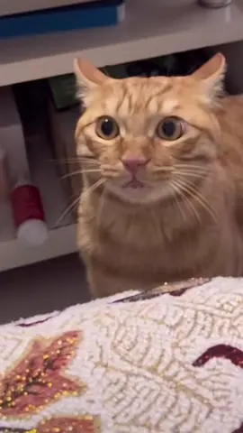 🥺