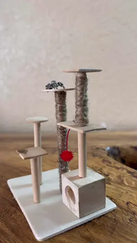 Mini cat tree for a tiny arachnid kitty! #catsoftiktok #PetsOfTikTok #jumpigspider 