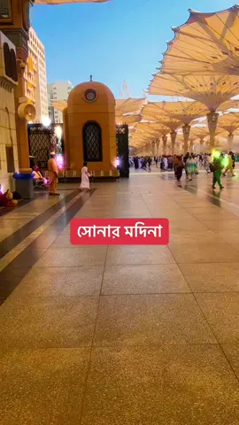 সোনার মদিনা
