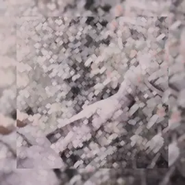 #CapCut 