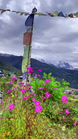 Remembering Colorful Days in Humla. #thathumliguy #humla #travel #tiktok #nepal #viral #fyp #mountains #life #projectukali 