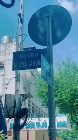 Góc đường Nguyễn Văn Bình - Hai Bà Trưng , rợp mát những tán cây xanh mướt 😘#daopho #quan1 #haibatrung #duongsachnguyenvanbinh #saigon#travel#xuhuongtiktok 