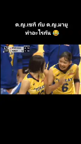 มายูคือโค้ง 90 องศา #mayuishikawa #มายูอิชิคาวา #nanamiseki #นานามิเซกิ #วอลเลย์บอล #volleyball 