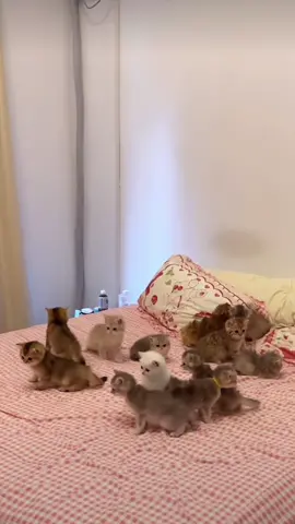 🥰