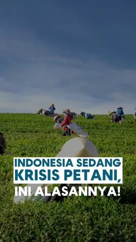 INDONESIA MENGALAMI KRISIS PETANI 🥺 lalu bagaimana nasib asupan makanan kita?? #petaniindonesia🇮🇩🇮🇩🇮🇩🌿🌿 #koservasialam #lindungialam #climateaction 