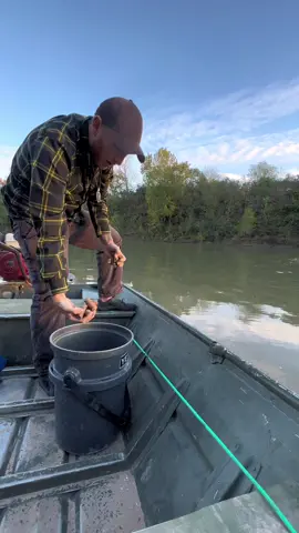 Doing some pre chumming for carp and small mouth buffalo fishing. I’m chumming range cubes and sweet corn. Carp are the perfect cold weather fish and will bite through the worst cold weather #carpfishing #carp #howtocatchcarp #smallmouthbuffalo #fishing #river #nature #Outdoors #explore #fishingvideos 