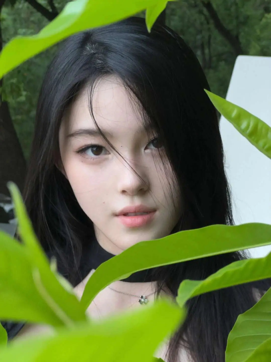 #大哥好不容易硬氣一次 #晚风胶片感大片 #长发女神 #热门 #美女 #宁艺卓 #原相机 #我要上推薦 #抖音 #孟璐不做大哥好多年 #药指 #告白細節 #上推薦通知我 #冬日暴击 #douyin抖音 #冬日暴击 
