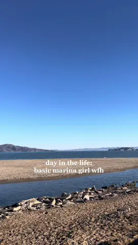 #sanfrancisco #sf #marinagirl #wfhlife #wfh #corporatelife #corporatetiktok 