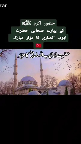 #hazratayubansari #turkey🇹🇷 #istabul # #mytripmystory #fypage #tabbasam321 