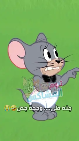 قرنبيط 🤣🤣💔 ترجمولي 😭😭💔 #كوميديا #كرتون #توم_وجيري #توم_المشاكس #حالات_وتس #بطوط #ستوريات #انميشن #ضحك 