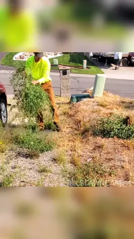 New homeowner neglects my childhood home 😢 - Follow for daily content 😇 - #lawncare #satisfying #asmr #relax #fyp #foryou #garden #gardening 