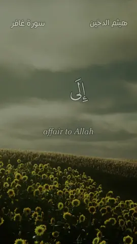 وأفوض أمري إلى الله - #هيثم_الدخين #حالة_واتس #قرآن #liak 