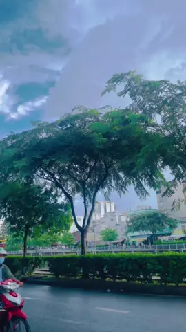 Bờ kè hoàng sa - con đường đi mỗi ngày đây ạ#daopho#saigon#hoangsatruongsa#quan3#traveltiktok#xuhuongtiktok#bờkehoangsa 
