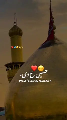 Sardari Hussain (as) di ☺️❤️ #molahussain #Shia #munqabat #trending #mtariqmallahk #foryoupage #mtariqmallahk110 #newaccount #Iran #foryou #Karbala 