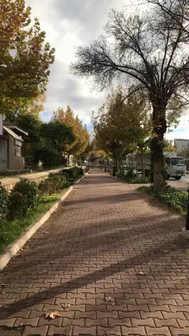 Peaceful morning 💕✨ #fyp #setif #morningvibes #algeria🇩🇿 