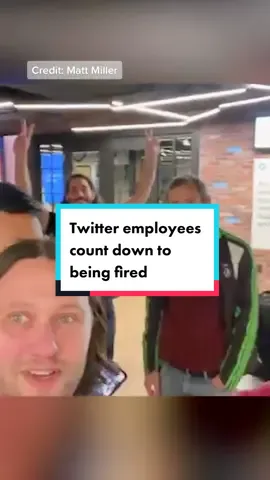 Twitter employees count down to being fired #riptwitter #twitter #elonmusk #news #socialmedia #fyp #fypシ #foryou 