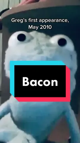 #CapCut #greg #gregthelizard #señorgreg #senorgreg #spanish #english #español #ingles #spanishteacher #englishteacher #teacher #maestro #lesson #bacon #tbt 