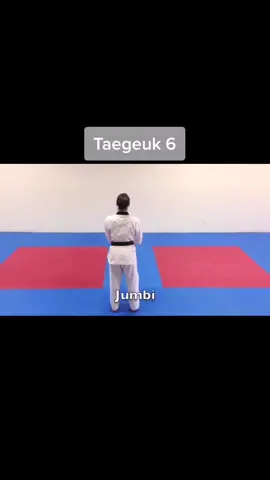 Taegeuk 6 🔥 Taegeuk Yook Jang #taegeuk #taegeuk6 #taendok #taekwondo #taekwondotraining #taekwondowtf #taekwondogirl #taekwondoindonesia #taekwondofamily #taekwondolife #taekwondoitf #taekwondofighter #taekwondotime #taekwondohits #taekwondokids #taekwondogirls #taekwondomylife #taekwondobrasil #taekwondokick #taekwondoo #taekwondolove #taekwondoallday #taekwondoin #taekwondohitz #taekwondoe #taekwondo_man #taekwondopoomsae #taekwondoteam #taekwondo_wtf #taekwondo👊 