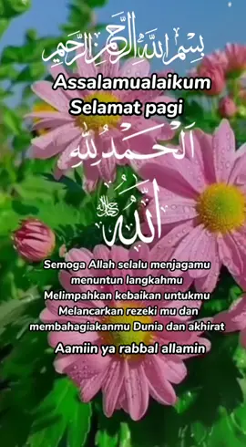 #bismilahirahmanirahim Assalamualaikum wr.wb #Sahabatku 🙏🏻🥰 #mingguceria #penuhberkah #janganlupabersyukur #janganlupabahagia #semangatpagi #pejuanghijrah #wuland #MamaTalitha #fyp #foryou #foryoupage #tiktok