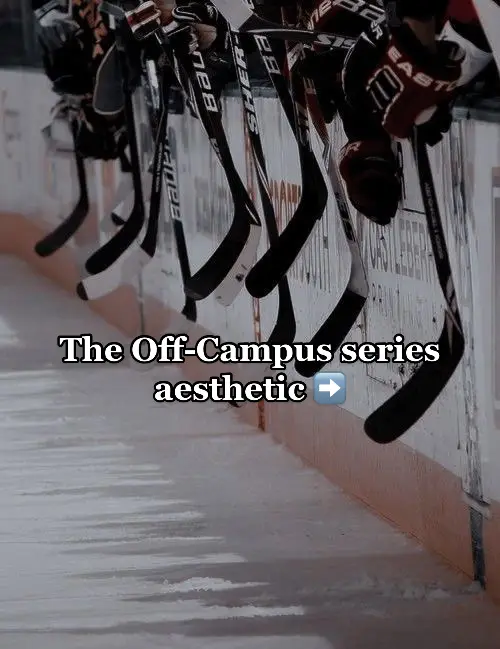 I love them all endlessly 🤍🏒 #bookstagram #BookTok #offcampus #ellekennedy #sportsromance #hockeyromance #garrettgraham #thedeal #bookcouples #johnlogan #deandilaurentis #johntucker #hockey #briaru #bostonbruins #hockeyboys