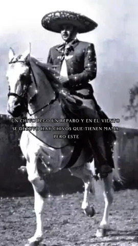 #CapCut #antonioaguilar🇲🇽🐎🐎🐎🐎🐎🐎🐎🐎🐎🐎🐎🐎🐎 