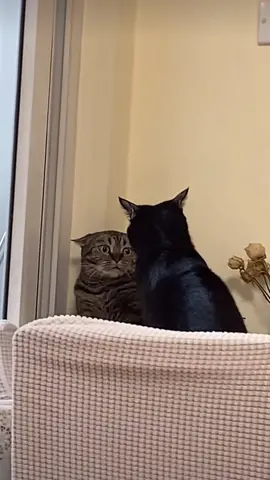 😳