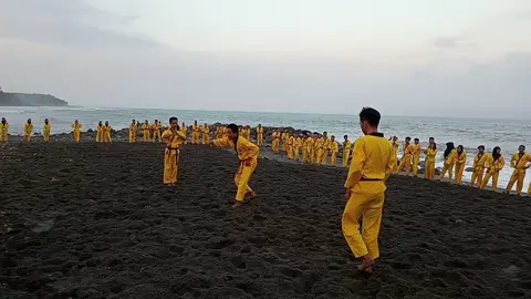 pencak silat Budi suci melati pencak silat yang mengajarkan manusia biar berbudi luhur dan bersifat kesatri sejati #budisucimelati #tenagadalamdankebatinan #siwoahmadboesjairi#pencaksilatindonesia #pusatjepara #cabtulungagungpusatjepara 
