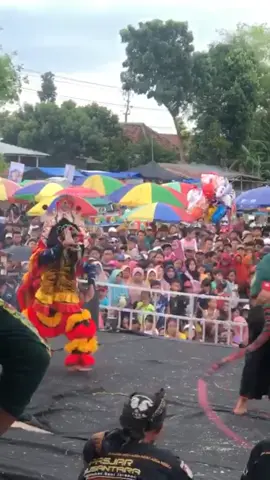 #jaranantiktok #jaranan #mcm #jarananviral #kucingan #pasjar 