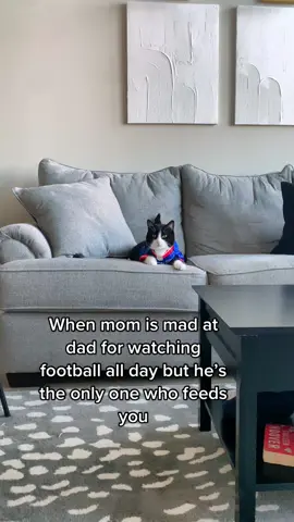 Man’s best friend…right? #catdad #nflsunday 