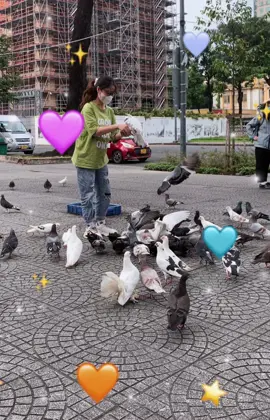Nếu bạn đang tìm kiếm một chút bình yên ở thành phố xô bồ này, tin mình đi một chút nắng nhẹ thêm một chút ngọt của ly cafe bệt cùng ngắm bồ câu sẽ không làm bạn thất vọng📸❤️Cà phê Bệt Nhà Thờ Đức Bà#capcut #cafe #saigon #xuhuong 