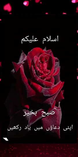 #pageforyou_❤️love_like #goviral #fypシ #pageforyou_🇵🇰🇺🇸 