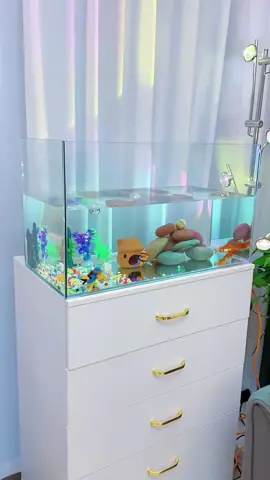Super clear glass tank, diy aquarium landscapes #aquarium #aquascape #superclear #diyproject #homemade #natureaquarium #freshwateraquarium #aquariumhobby #resinornament #ornaments #decoration #fish #fishtank #fyp