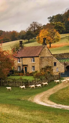 Bucolic Britain. 🇬🇧 🐑 It’s moments like this that make you stop, and appreciate the great outdoors. #countryside #uk #sheep #england #countrylife #farmlife #autumn 