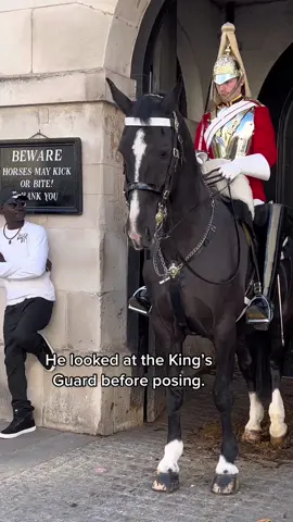 He looked at the King’s Guard before posing.  #kingsguard #fyp #foryou