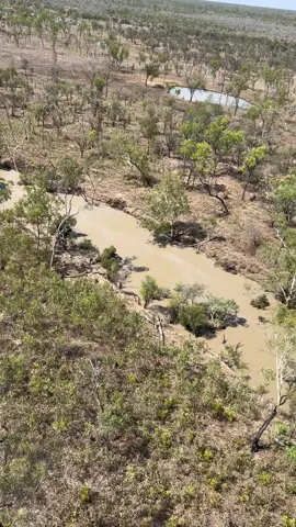 Small creek systems in full flood after an early season storm in the catchment. Very cool to see. #fvrcontracting #fvr375 #creek #australia #queensland #r44 #helicopter #airwork #feralpig #shooting 