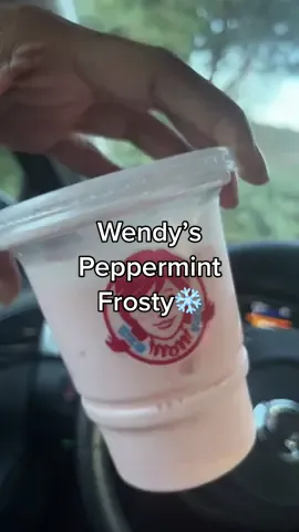 Sooo good 🤤 #wendyspeppermintfrosty #wendys #whatieatinaday #kayyeats #FoodTok #newfood #foodiesoftiktok 