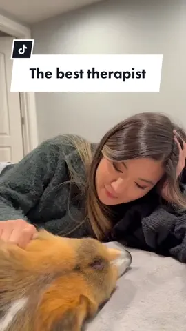 All you will ever need is a therapist that sticks his tongue out at you when you need it most 😅👅.   He legit got his tongue stuck while we were having a moment. It was incredible.   #blep #dogmom #corgimom #dogtongue #cutepets 