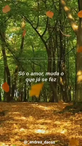 Só o amor____♡ #roupanova #musicas  #lugareslindos #motivação  #videos 