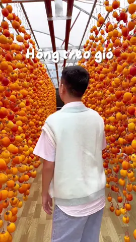 Mọi người đã ăn thử hồng treo gió Đà Lạt chưa ? #AnCungTikTok #reviewanngon #hongtreogio #dalat #vibula #tranquocthai 