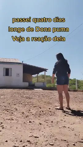 muito emocionante 🥹❤️🐕#donapuma #meupet #cachorro 
