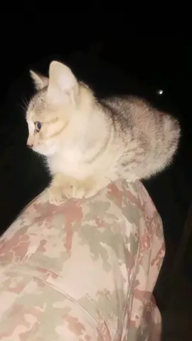 💕#viralvideo #foryoupage #standwithkashmir #foryou #foryou #viralvideo #viralvideo #foryoupage #foryoupage 