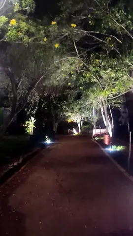 PARQUE ECOLÓGICO LOMA AMARILLA - SANTIAGO DE SURCO - LIMA - PERÚ Un pequeño recorrido de noche. 💚 