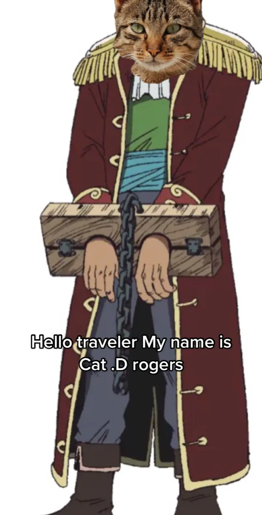 #dabloon #doubloon #doubloons #fourdoubloons #onepiece #dabloons #dabloonscat #dablooninflation 