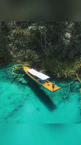 Ada 3 destinasi yang wajib kalian kunjungi kalau berkesempatan datang ke Kalimantan Timur yaitu Danau Labuan Cermin, Pulau Manimbora Island, dan Goa Halo Tabung di Pulau Maratua.  Buat kalian yang penasaran tonton video lengkapnya di atas dan kalau kurang puas langsung aja pesen tiket kamu ke Kalimantan Timur lagi,  ◾Repost from IG 🎥 : @zilmizola  Lokasi📍:  Danau Labuan Cermin, Pulau Manimbora Island, dan Goa Halo Tabung di Pulau Maratua, Kabupaten Berau, Kalimantan Timur, INDONESIA 🇮🇩 #visitkalimantan #visitindonesia #visitkaltim #visit #pesonaindahborneo #pesonakalimantan  #pesonakaltim #pesonaindonesia #pesonaborneo #genpiindonesia #genpikaltim  #explorekalimantan #explorekaltim #explorekalimantantimur #wisatakalimantan #wisatakaltim #wonderfulindonesia #kaltiminfo #kaltimku #infokaltim #kaltimpost #pantaiindonesia #labuancermin #manimboraisland #derawan #maratuaisland #berau #pecintaalam #kalimantan #kaltim #kalimantantimur 