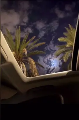 حبك دفنته ما بقى شي تتلاه