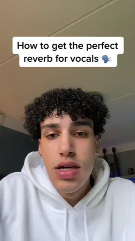 Perfect reverb 😵 #fyp #producertok #flstudio #flstudiomixing #vocalmixing #reverb 